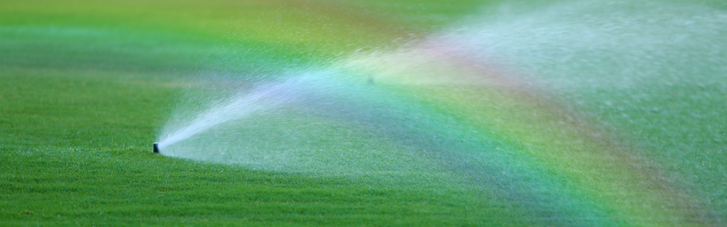 MT SLIDER SRINKRAINBOW.png